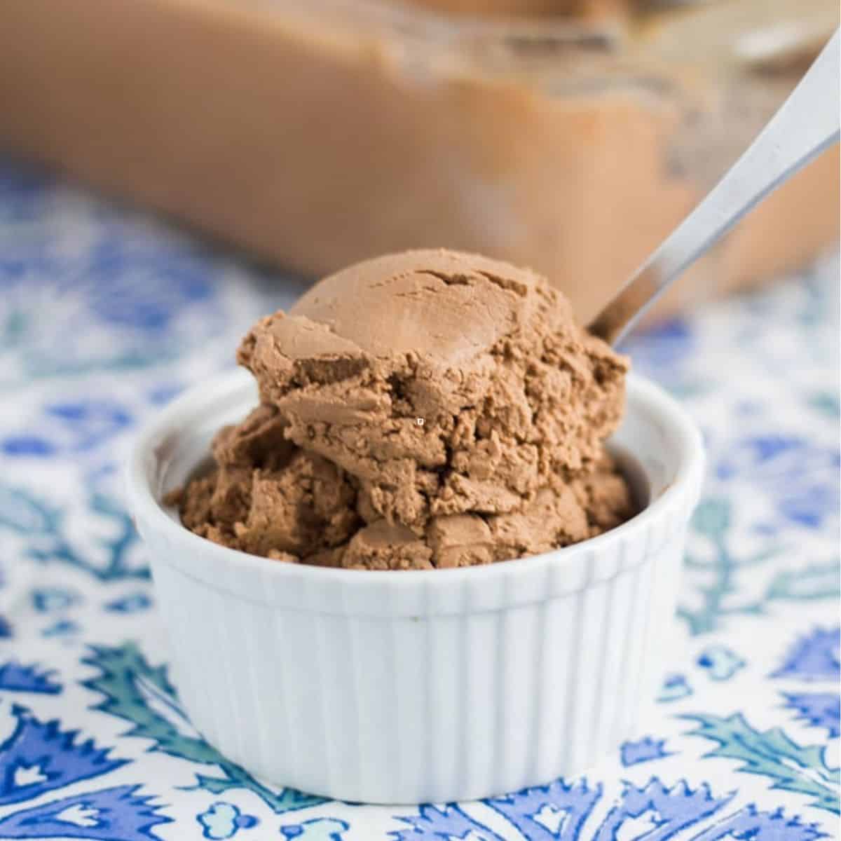 Dairy Free Chocolate Ice Cream