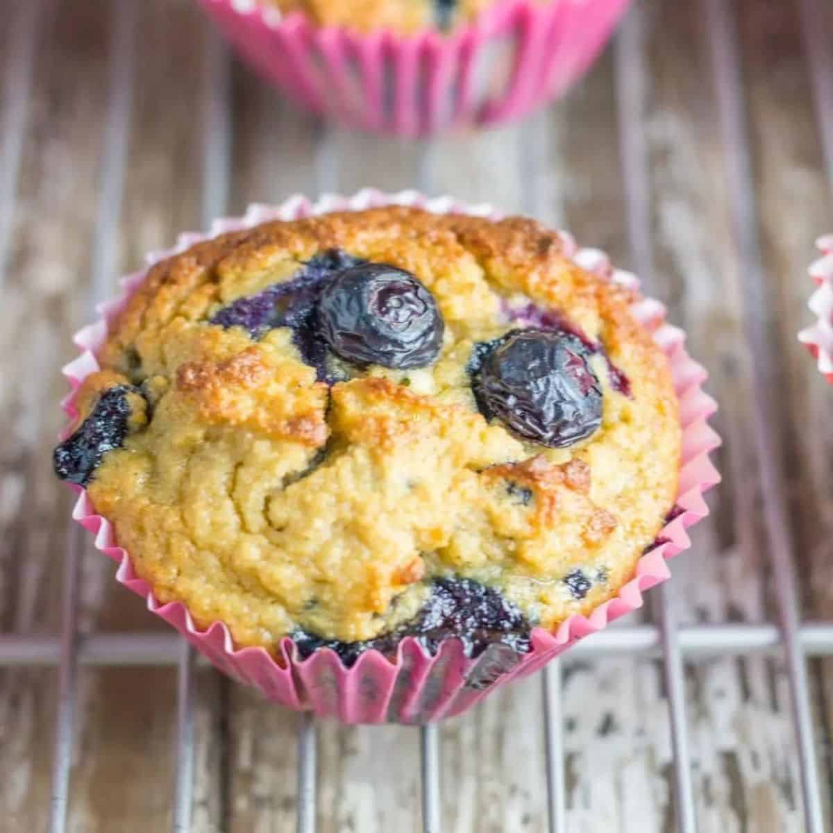 Dairy Free Blueberry Muffins