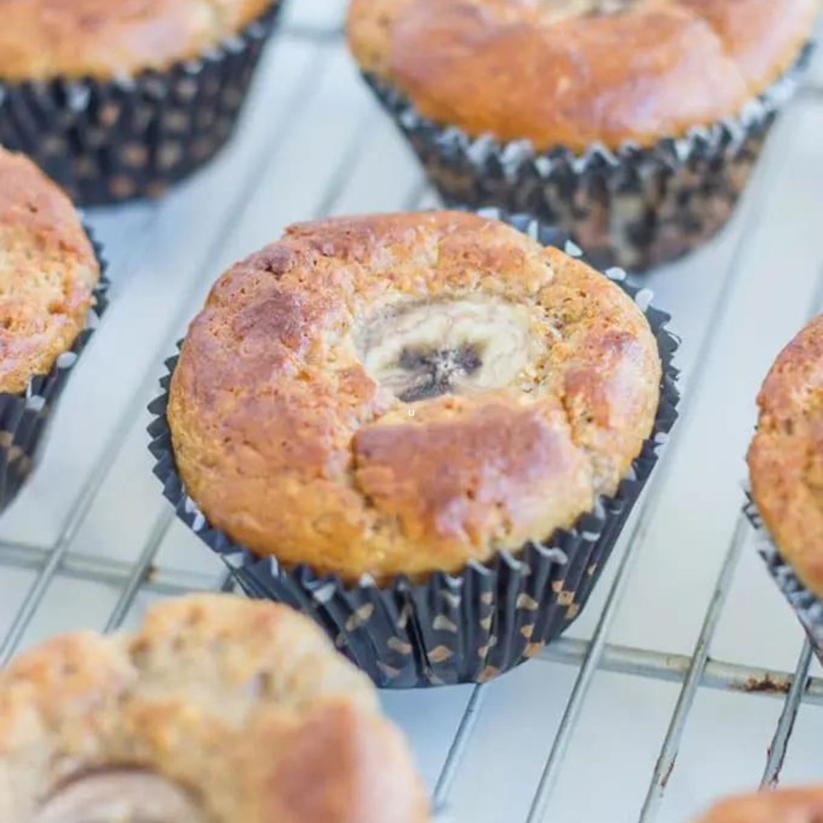 Banana Bread Muffins