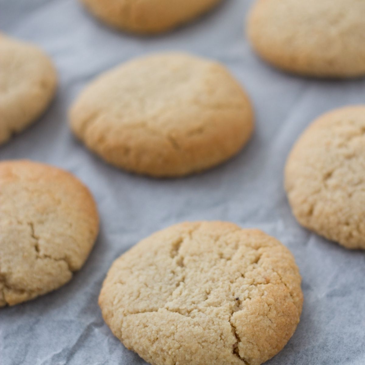 Gluten Free Ginger Cookies