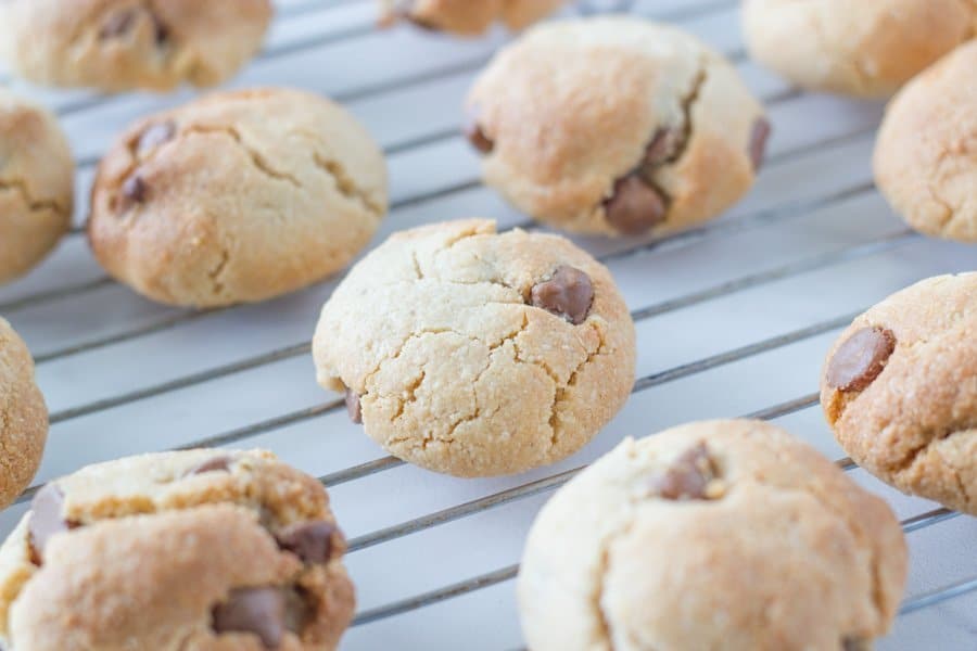 tray of cookies