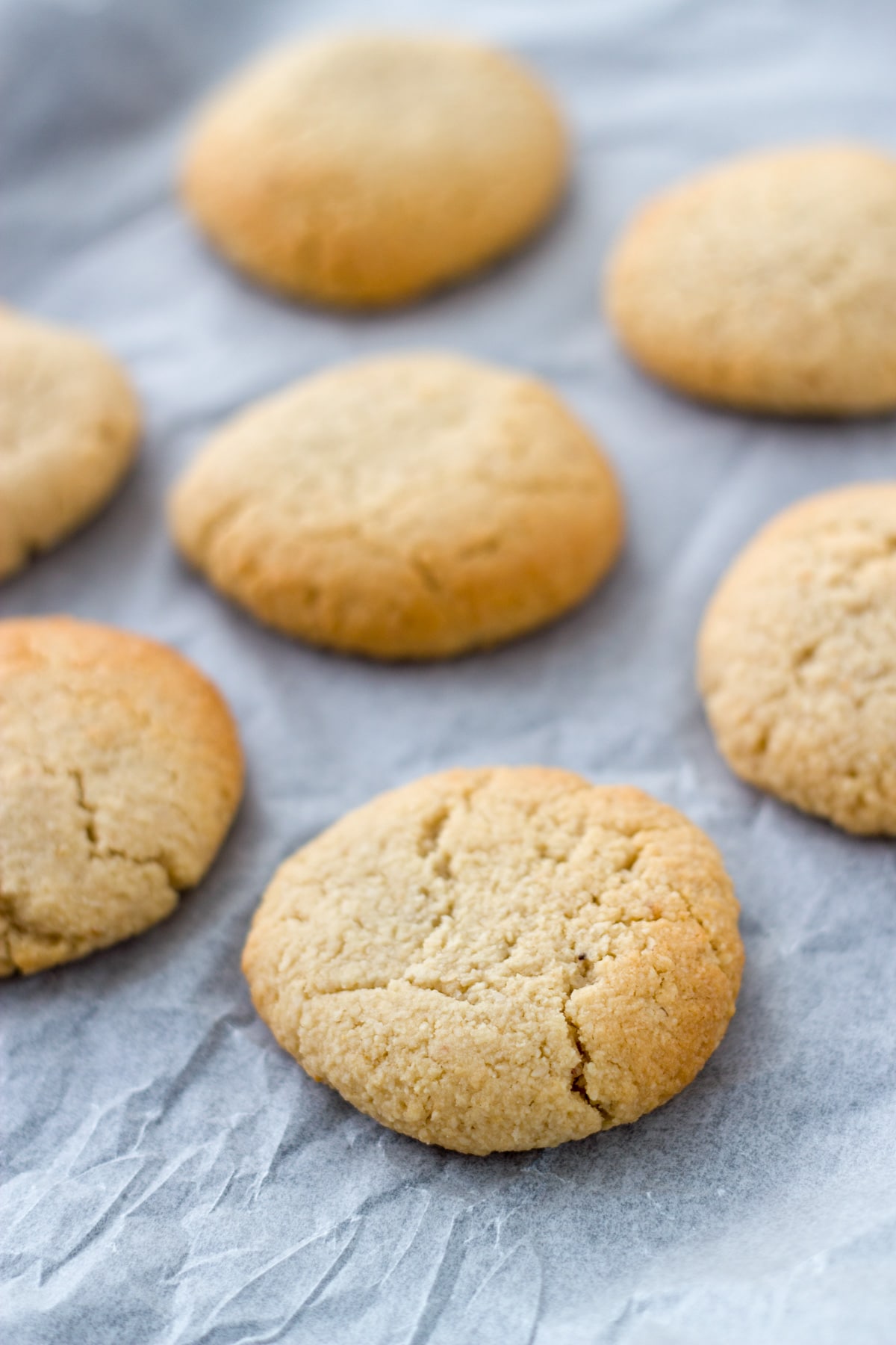 photo of the gluten free ginger cookies once they have finished baking