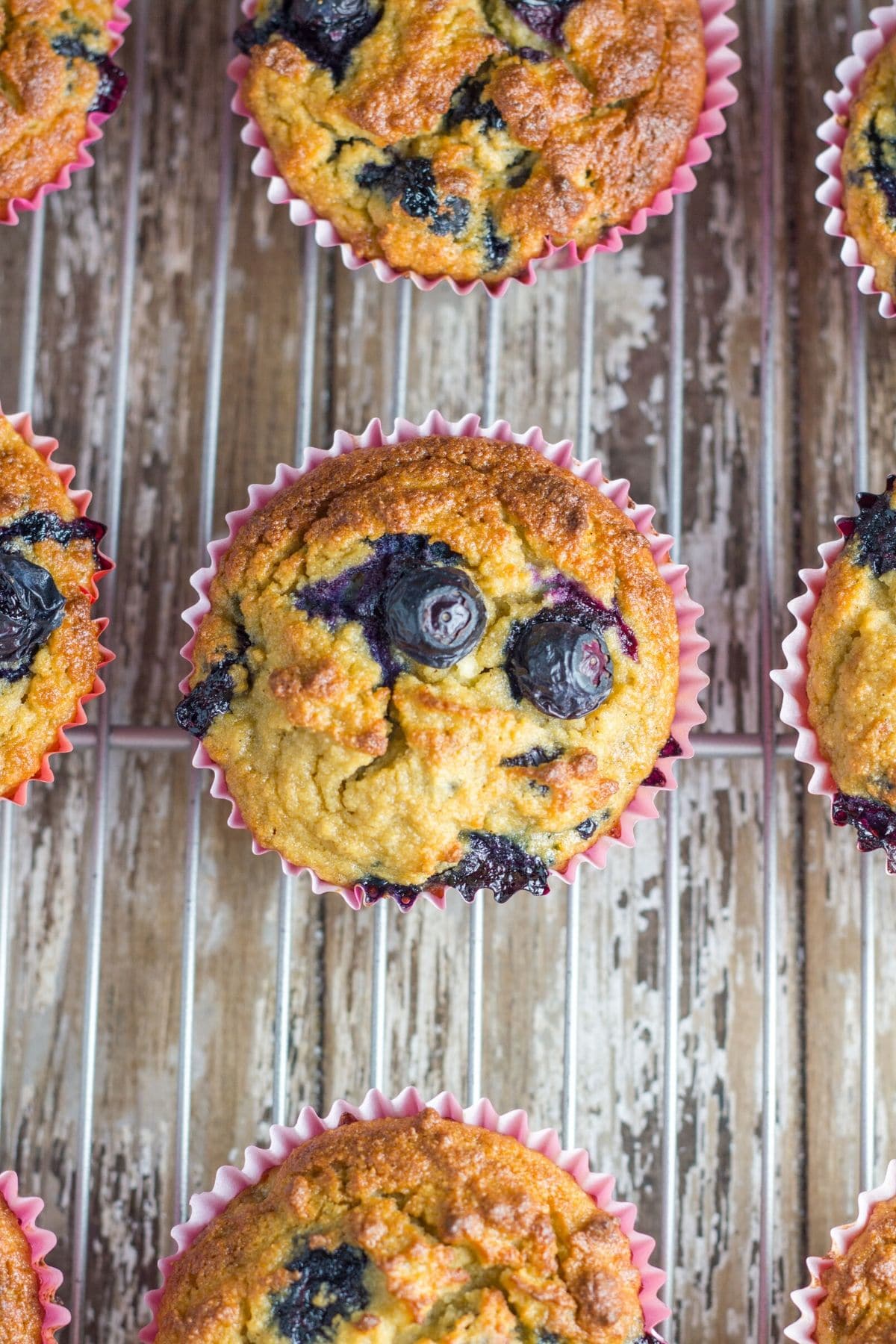 The muffins on cooling tray.